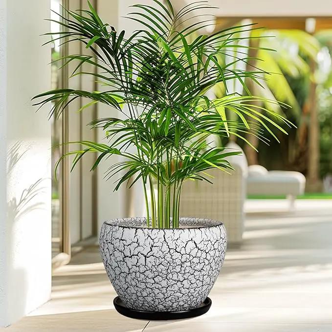 Ceramic Planters for Indoor Plants - 10 Inch Plant Pot with Drainage Hole and Saucer, Large Flower Pot for Home Decor, White/Black by GreenHaven Gardens