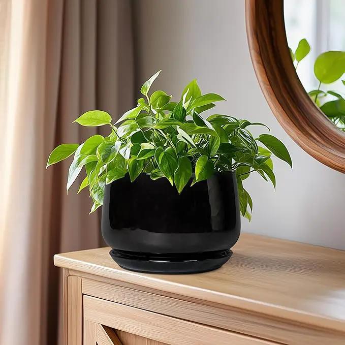 G EPGardening 6 Inch Planter - Ceramic Pot for Plants, Ceramic Planter with Drainage and Saucer, Round Flower Pot Indoor Outdoor, Modern Room Decor, Home Gifts, Black by GreenHaven Gardens