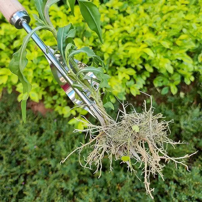 Japanese Weed Puller Tool Garden Tools Hand Weeder Tools - Gardening Hand Tools Weed Remover Tool for Gardening Backyard Farm Planting & Weeding Removal Quick Work by GreenHaven Gardens