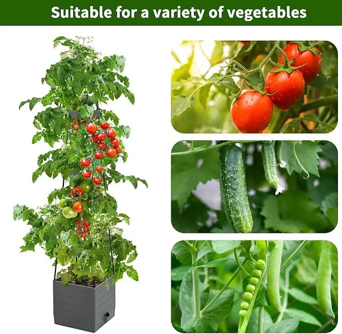 2 Pack Raised Garden Bed, Planter Boxes with Trellis 58.3'' Tomato Planters for Climbing Vine Vegetables Flowers Plants Self Watering Tomatoes Cage for Outdoor Patio Greenhouse by GreenHaven Gardens