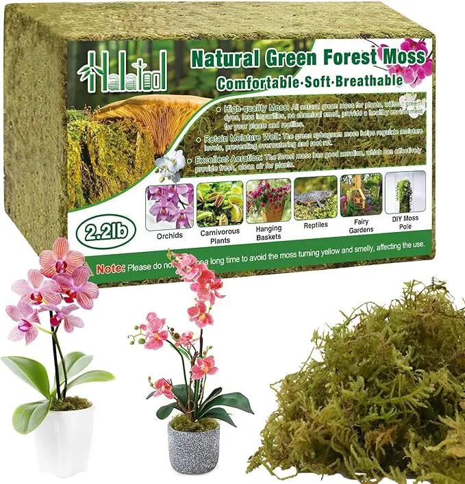Halatool 2.2LB Forest Moss for Plants Indoor, 50QT Orchid Moss for Potting Mix, Natural Dried Sphagnum Moss Bulk for Moss Pole Succulents Garden Flowers Reptiles by GreenHaven Gardens