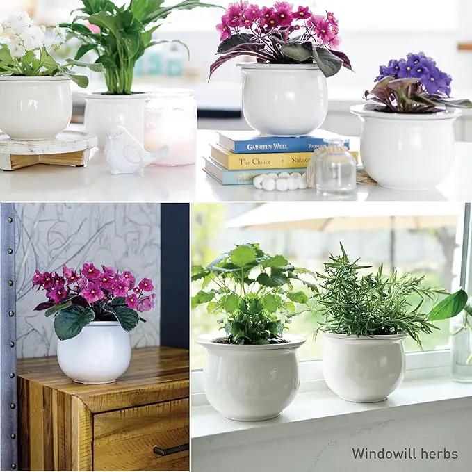 African Violet Pots Ceramic 6.5”W x 4.6”H Self Watering Planter for Indoor Flowers and Plants – White Glazed Outer Plant Pot with Highly Absorbent Inner Planter Pot for Tropical Plants by GreenHaven Gardens