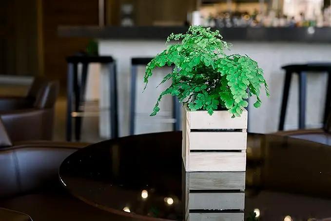 Wood Planter Box with Wine Crate Styled, 5 Inch Square, Rose Wood, Plastic Liner, Garden Centerpiece Display, Wedding Flowers Holder, Home and Venue Decor (5x5 Wine Crate Set of 4, Rose Wood) by GreenHaven Gardens