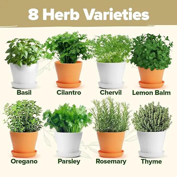 HOME GROWN 𝗣𝗥𝗘𝗠𝗜𝗨𝗠 𝗛𝗘𝗥𝗕 𝗞𝗜𝗧 8 Herb Seeds Garden Kit, Complete Indoor Planter Gift with Basil Cilantro Mint & More, Unique Kitchen Growing Set for Women Men, Birthday Housewarming Present by GreenHaven Gardens