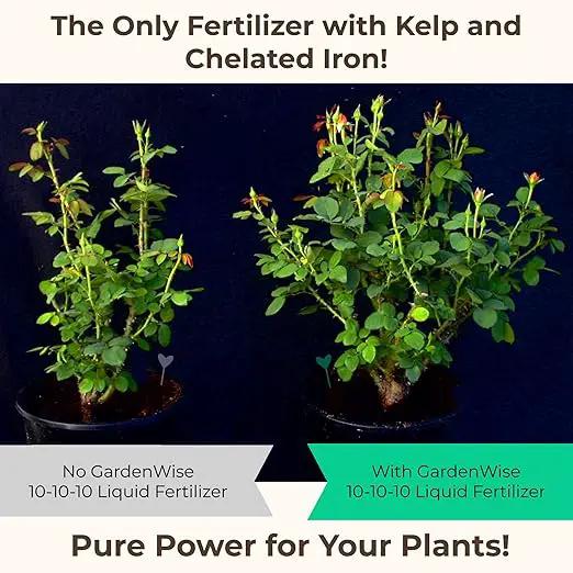 10-10-10 Fertilizer for All Purpose Plants - Liquid Fertilizer with Seaweed Kelp & Iron - Plant Food Outdoor & Indoor Plant Food, Vegetables, Flowers, Lawn & Garden 10 10 10 Fertilizer 32oz by GreenHaven Gardens