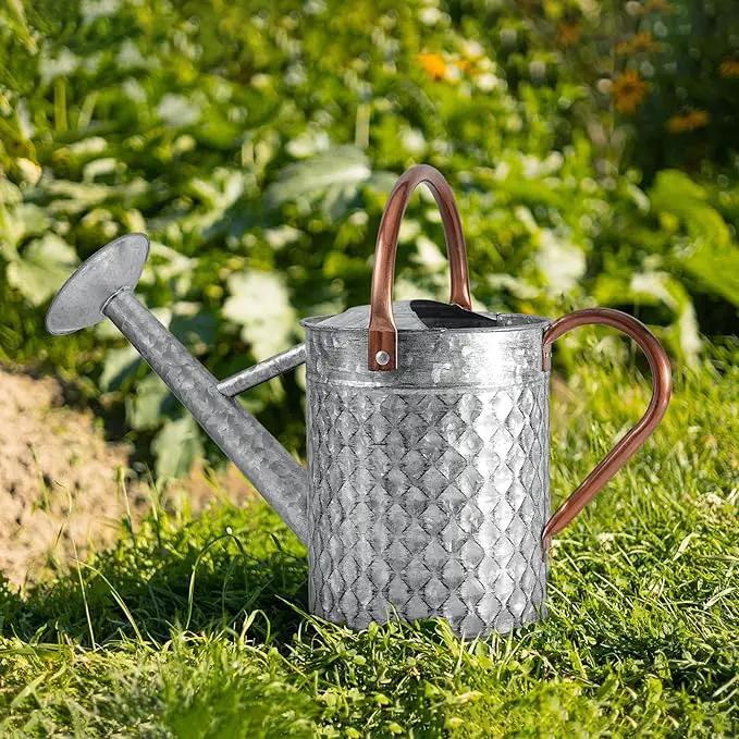 1 Gallon Metal Watering Can for Outdoor Indoor Plants, Galvanized Watering Can with Removable Spray Spout, Ideal for Garden Watering by GreenHaven Gardens