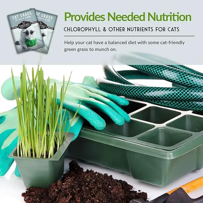 Cat Grass Seed for Planting - 3 Packets with Instructions to Plant & Grow Greens for Your Pet Indoors or Outdoors in a Container or Garden - Non-GMO Heirloom Variety - Survival Garden Seeds by GreenHaven Gardens