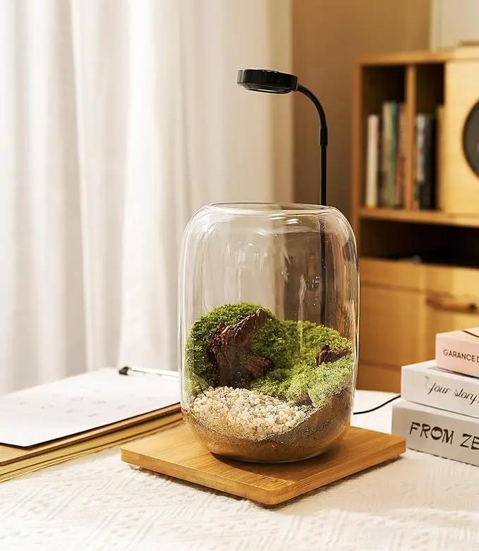 Terrarium Kit/Supplies Terrarium Plants Set with Grow Light, for Succulents Miniature Gardening, Include Terrarium jar Tool Set Live Moss Rocks Soil Driftwood and Decor, for Plant Lovers by GreenHaven Gardens