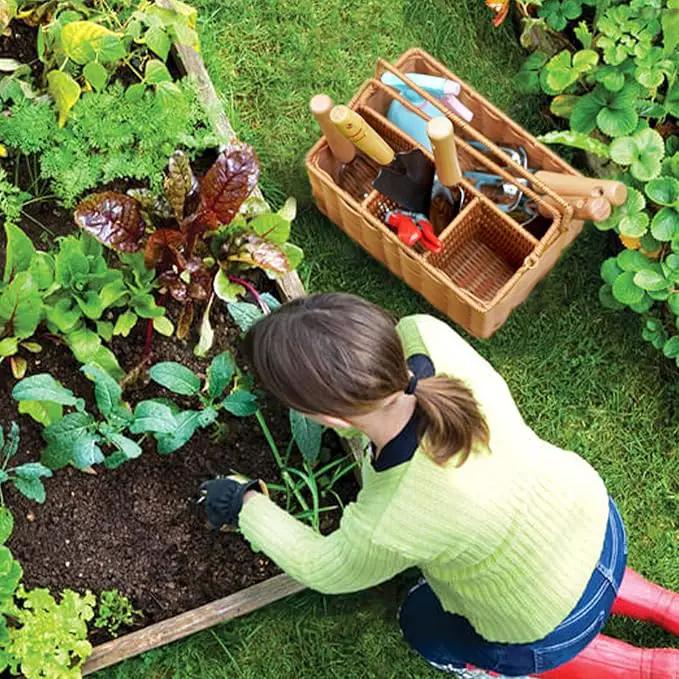 SOLIGT Gardening Hand Tools with Basket – Garden Tool Set with Pruning Shears, Cultivator, Gloves – Heavy-Duty Stainless Steel Gardening Tools with Wood Handle – Gardening Gifts for Women Men by GreenHaven Gardens