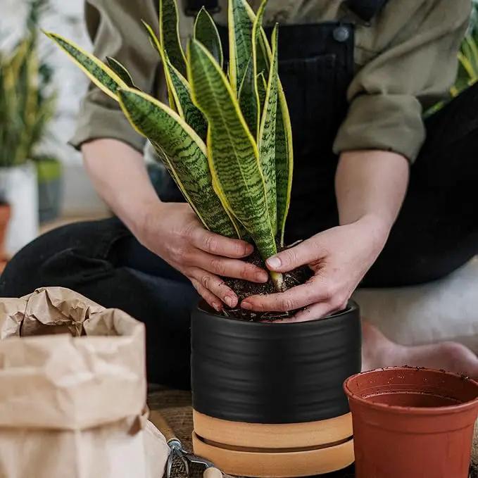 6 Inch Plant Pots, Ceramic Planter Pot with Drainage Hole & Saucer, Indoor/Outdoor Cylinder Round Planter Pot, Matte Black & Brown by GreenHaven Gardens