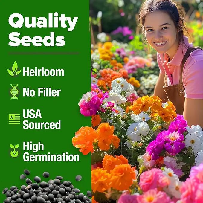 HOME GROWN 23,500+ Moss Rose Seeds (Bulk Pack) Annual Flower for Ground Cover - Heirloom 𝗡𝗢𝗡-𝗚𝗠𝗢 Portulaca Seeds for Planting Outdoors - Great for Low-Maintenance Gardens (Portulaca grandiflora) by GreenHaven Gardens
