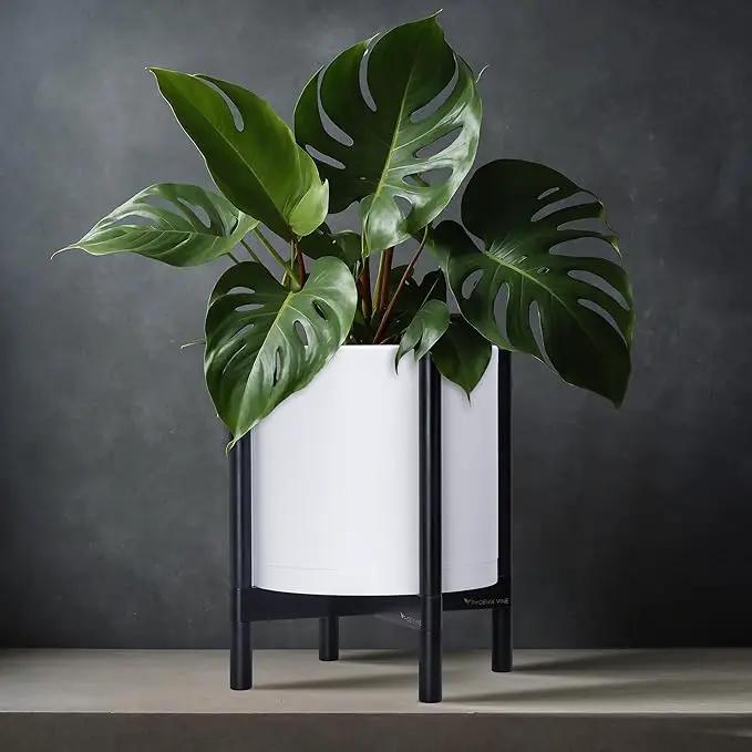 D'vine Dev Planter Pot with Stand - 12 Inch Plastic Cylinder Flower Pot with Wood Planter Holder for Indoor, Matte White Pot + Ebony Stand, 55-C-Q-1 by GreenHaven Gardens