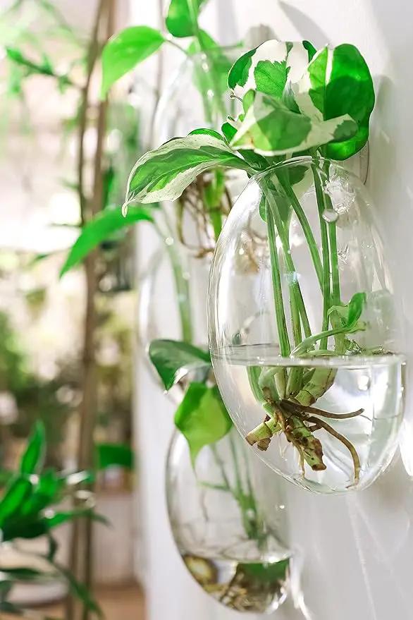 Ivolador Wall Hanging Planter Propagation Station Glass Flower Vase for Hydroponics Plants, Home Office Living Room Decor Gift, Set of 4 by GreenHaven Gardens