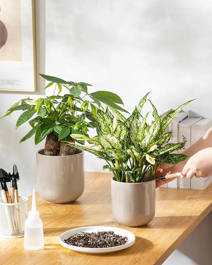 vancasso Ceramic Plant Pots, 4+5+6 inches, Set of 3, Planters with Drainage Hole, Flower Pots Planters Pots for Indoor Plants, Modern Indoor Decorative Garden Pot, Home Decor, Gray by GreenHaven Gardens