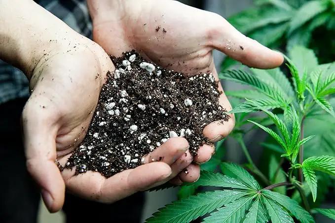 Premium Happy Plant Potting Soil Mix - Optimal Nutrient-Rich Blend for Thriving and HIGH-Yield Herbal Plants - 3 Quart by GreenHaven Gardens