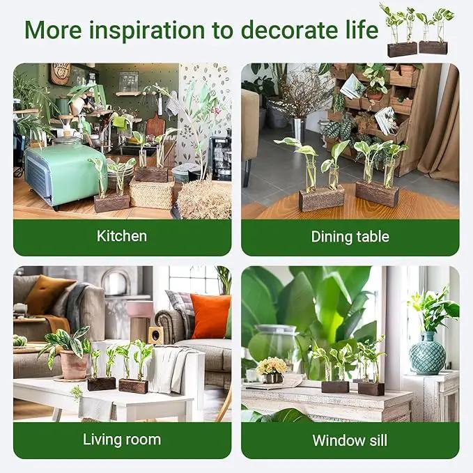Ivolador Plant Propagation Stations 4 Test Tube Plants Terrariums in Wooden Stand Gifts for Plant Lovers for Hydroponic Plants Office Home Decor Hydroponic Vase Gift Box 2 Sets by GreenHaven Gardens