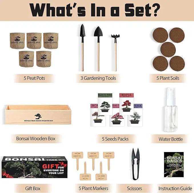 Indoor Bonsai Garden Starter Kit, 5 Seeds Growing into Red Maple, Wisteria, Black Pine, Judas Tree, Acacia, Including Complete Gardening Planters & A Wooden Box, Christmas Gifts for Women by GreenHaven Gardens