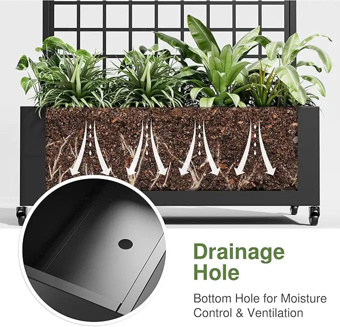 Casaphoria Metal Raised Garden Bed with Trellis and Wheels, 72"x35"x16" Planter Box for Climbing Plants, Vegetables & Vines, Features Drainage Holes and Privacy Screen (Black-Grid) by GreenHaven Gardens
