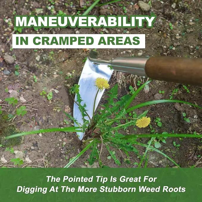 Haliaeetus Sickle Hoe, 58'' Long Handle Japanese Hand Hoe for Standing to Remove Weed, Stainless Steel Scraper Hoe, Bent Angle Weeding Sickle for Fastly Scraping Out Weed on Flower Bed, Between Plants by GreenHaven Gardens