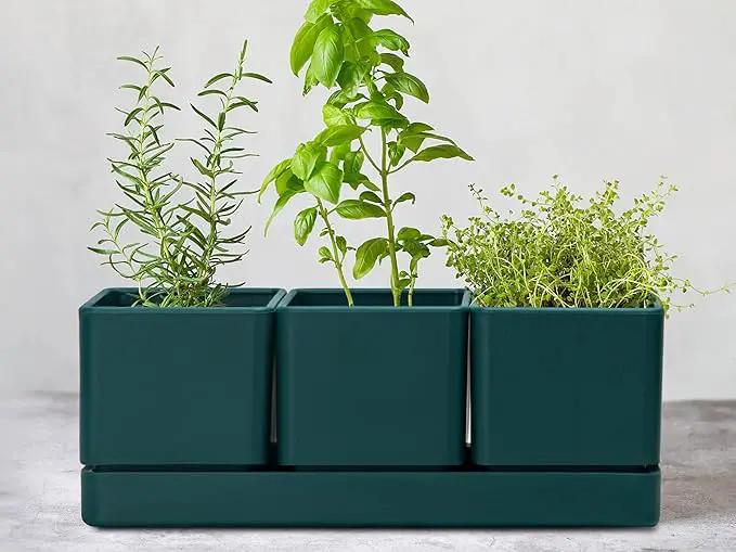 D'vine Dev Herb Garden Planter Set, Plastic Plant Pots with Drainage and Saucer, Indoor Succulent Cactus Vegetable Pot for Windowsill, Garden Balcony, Green, Set of 1, 76-V-C-1 by GreenHaven Gardens