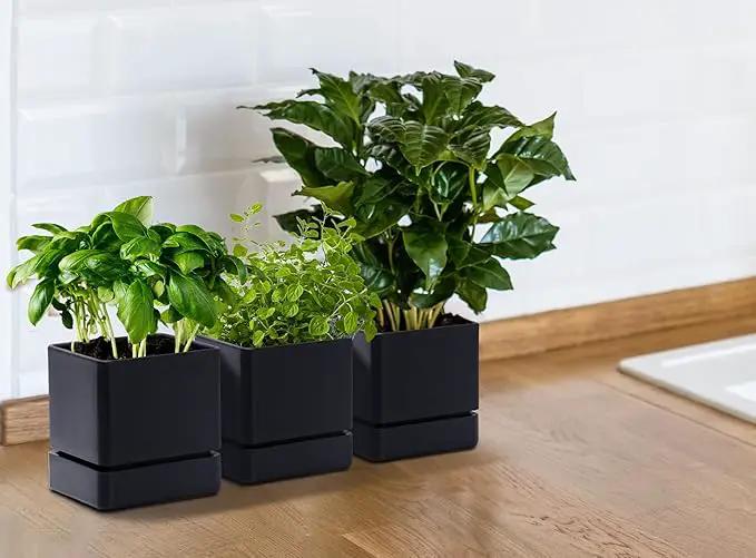 4 Inch Herb Planter Pot, Plastic Planter with Drainage Holes and Saucer, Modern Decorative Gardening Pot for Indoor Plants, Flowers, Herbs, Succulents, Black, Set of 3, 76-Y-B-3 by GreenHaven Gardens