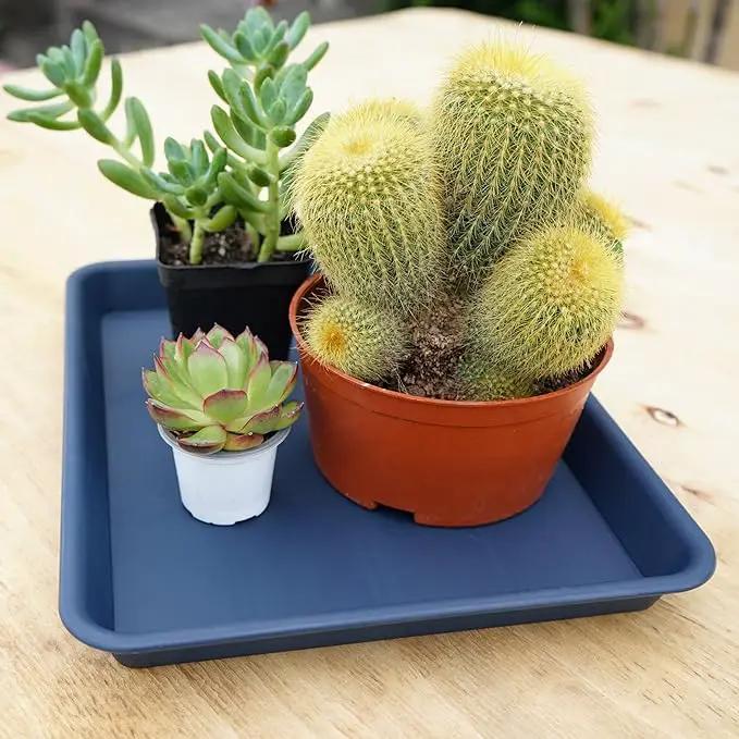 4 Pack Plant Saucer Tray Rectangular, Plant Saucers for Indoors, Heavy Sturdy Plastic Plant Drainage Trays, Plant Drip Trays for Pots, Seed Starter Growing Tray (11 x 9 inch, Blue) by GreenHaven Gardens