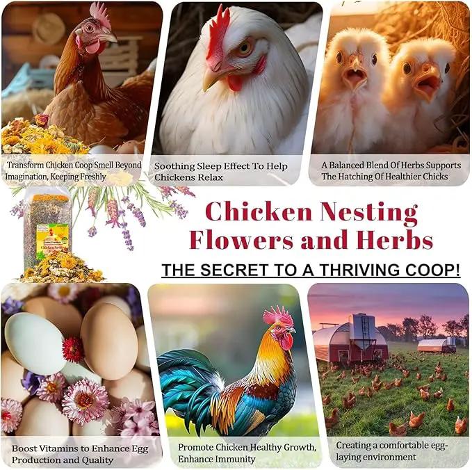 21 oz Chicken Nesting Herbs Flowers - 1.3lb Poultry Blend Herbs 12 Premium Nesting Box Herbs for Chicken Coop Refresher Boost Egg Laying Hens Herb Supplement for Backyard by GreenHaven Gardens
