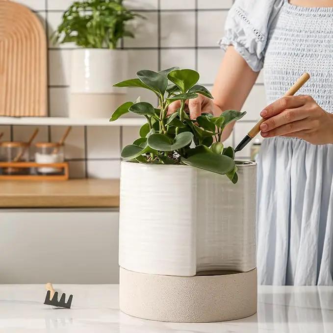 Nihow Self Watering Plant Pot: 8 Inch Ceramic Planter with Drainage Hole & Water Storage Plus for Indoor & Outdoor Plants - Cylinder Round Flower Pot for Succulent/Herbs/Violets - Cream White & Brown by GreenHaven Gardens