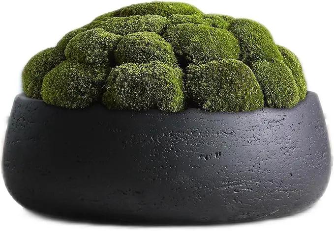 Olly & Rose Copenhagen Large Ceramic Planter Bowl Shallow Plant Pot - Matt Black Flower Pot Indoor and Outdoor Garden Décor… by GreenHaven Gardens