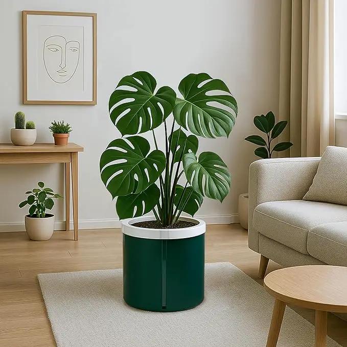 D'vine Dev 10 Inch Design Self Watering Planter for Indoor Plants, White Terracotta Pot with Teal Cylinder Glass Cup, 37-X-D-5 by GreenHaven Gardens