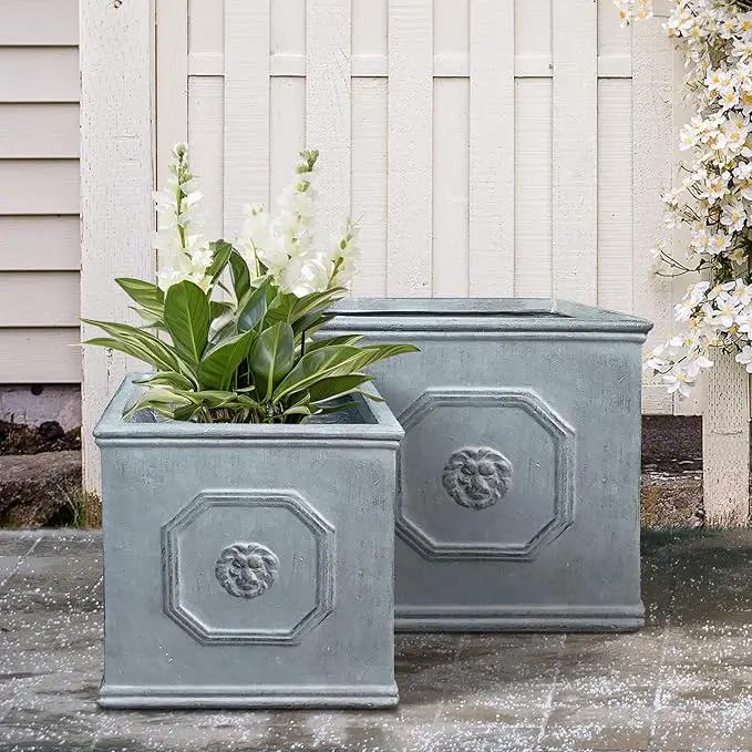 Kante Square Lion Head Concrete Planter Set of 2, Classic English Style Plant Pot with Drainage Hole and Rubber Plug for Indoor Outdoor, 10.2"x10.2"x10.2" and 12.6"x12.6"x12.6" Antique Gray by GreenHaven Gardens