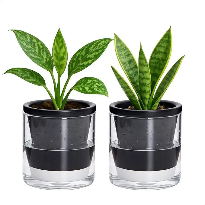 D'vine Dev 4 Inch Design Self Watering Planter for Indoor Plants, Black Terracotta Pot with Cylinder Glass Cup, Set of 2, 37-Y-A-3 by GreenHaven Gardens
