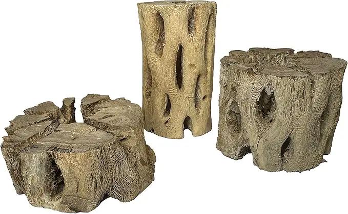 3 Natural Cholla Wood Air Plant Display Holders Tiered 1, 2 & 3 inch Individually Unique Round Decorative Stands by GreenHaven Gardens