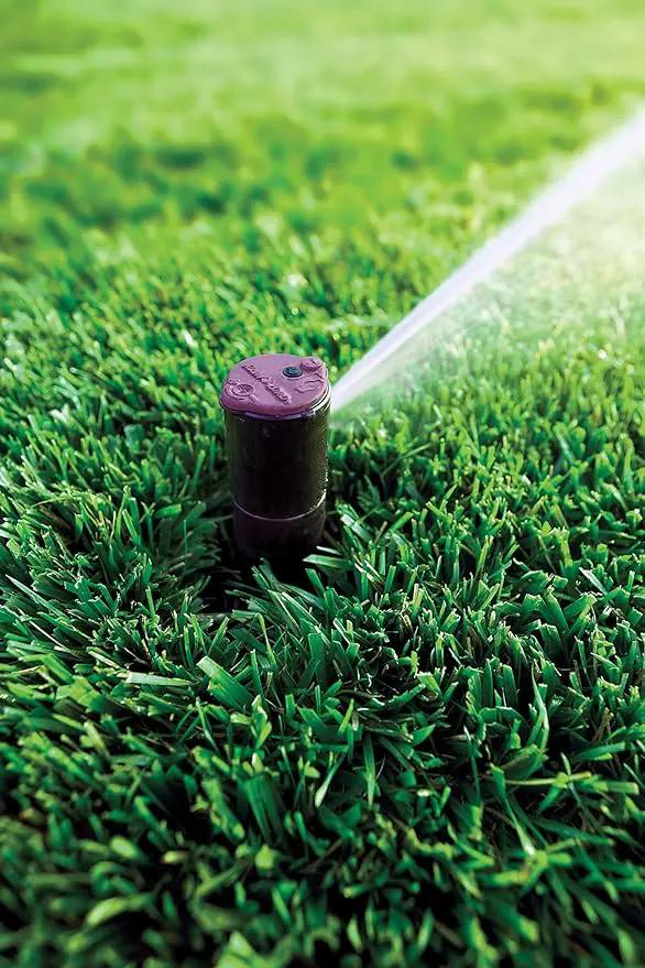 Rain Bird CP5000NP Purple Top Non-Potable Water Simple Adjust Gear Drive Rotor, Adjustable 40° - 360° Pattern, 26' - 38' Spray Distance by GreenHaven Gardens