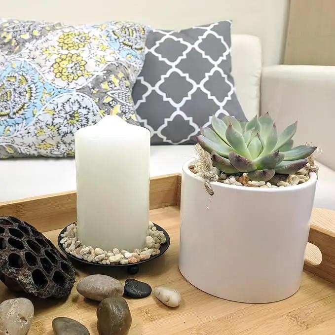 Costa Farms Live Succulent Plant, Easy to Grow Echeveria, Potted Houseplant in Decor Plant Pot, Everyday Gift for Mom, For Wife, From Daughter, Son, Room or Home Decor, 6-Inches Tall by GreenHaven Gardens