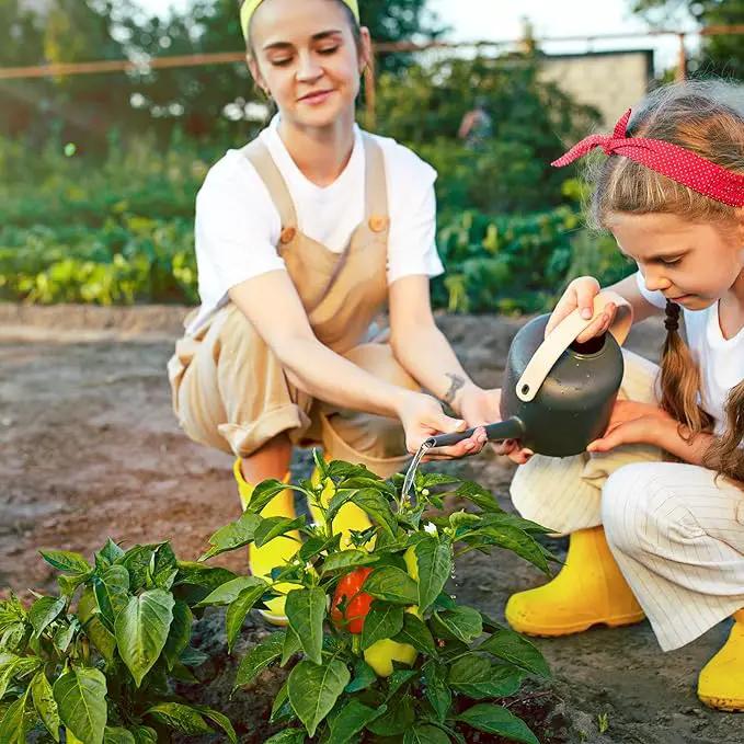 600+ Pepper Seeds, Heirloom Vegetable Seed for Planting Indoor Outdoor, 10 Varieties Hot and Bell Pepper (Capsicum Annuum) Seeds Garden Kit, Non-GMO Home Fresh Food Hydroponic Veggie Supply by GreenHaven Gardens