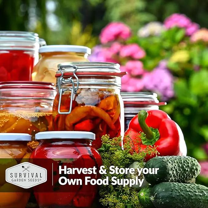 Survival Garden Seeds Home Garden Collection - 30 Pack with 18,500+ Non-GMO Heirloom Vegetable, Fruits, Herb Seed Varieties for Planting - Plant & Grow Survival Food & Emergency Preparedness Gear by GreenHaven Gardens