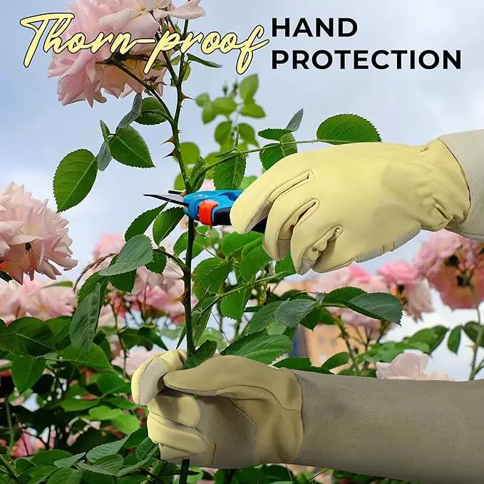HANDLANDY Rose Pruning Gardening Gloves for Men Women, Thorn Proof Forearm Protection Leather Garden Gloves, Gardening Gifts for Gardeners (Beige- goatskin, Medium (Pack of 1)) by GreenHaven Gardens