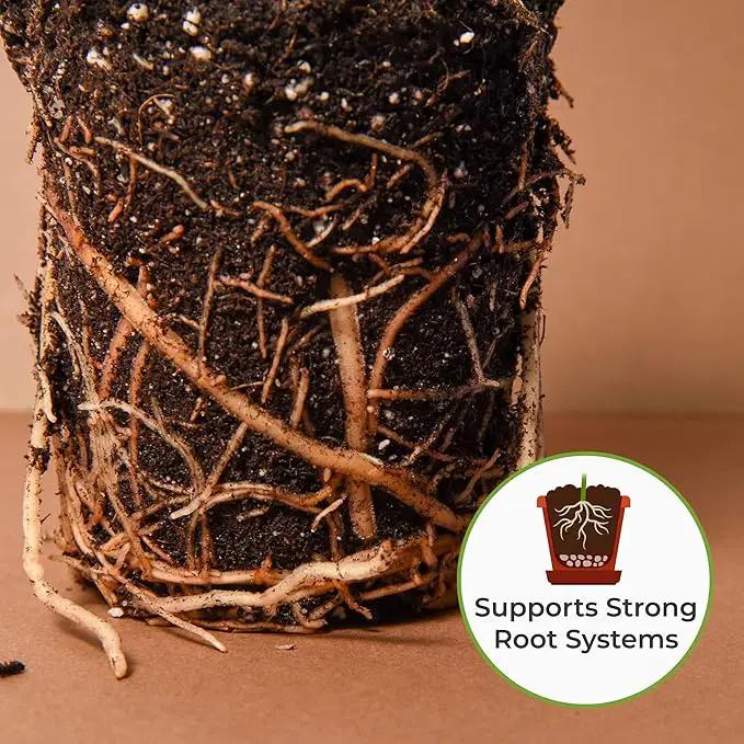 Perfect Plants Organic Snake Plant Soil in 4qt. Bag | Coco Coir Based Potting Mix Snake Plant Varieties by GreenHaven Gardens