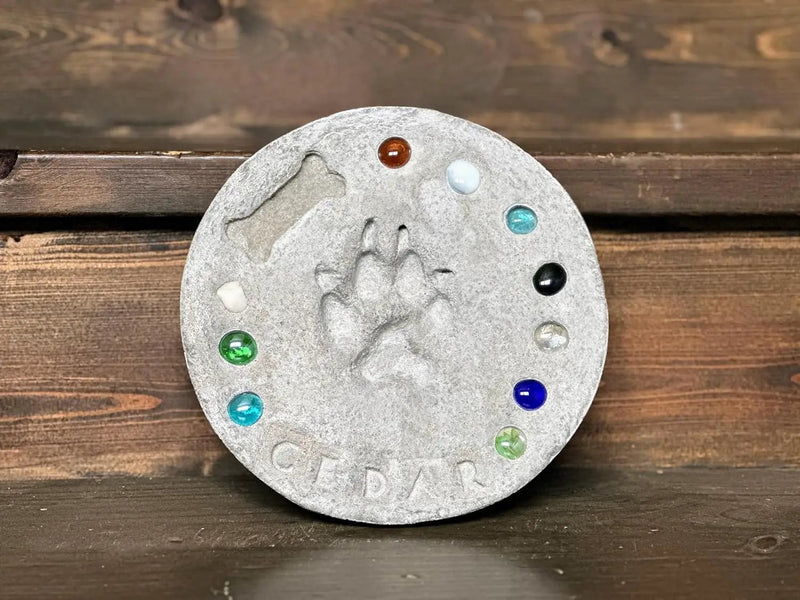 DIY Paw Print Stepping Stone Kit, Pet Memorial Stone, Pet Garden Stone (10 Inch) by GreenHaven Gardens