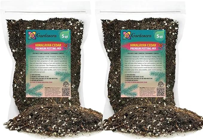 Premium Himalayan Cedar Potting Soil Mix - Perfect Balance of Nutrients, Drainage, and Aeration for Healthy Cedar Trees - 10 Quart by GreenHaven Gardens