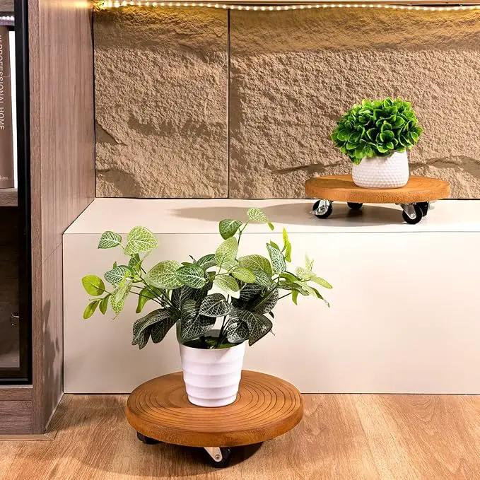Yangbaga 2Pack 12inches Tree Plant Stand with Wheels,Rolling Plant Caddy with Wheels Heavy Duty- Plant Rollers with Lockable Casters for Outdoor /Indoor/Plant Pot/Flower Pot/Patio by GreenHaven Gardens