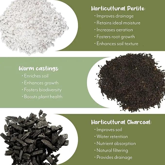 Aroid Plant Potting Soil Mix (8 Quarts), for Pothos Devil's Ivy, ZZ Plant, Chinese Evergreen, Dumb Cane, Philodendron, Syngonium, Alocasia, Colocasia Etc. by GreenHaven Gardens