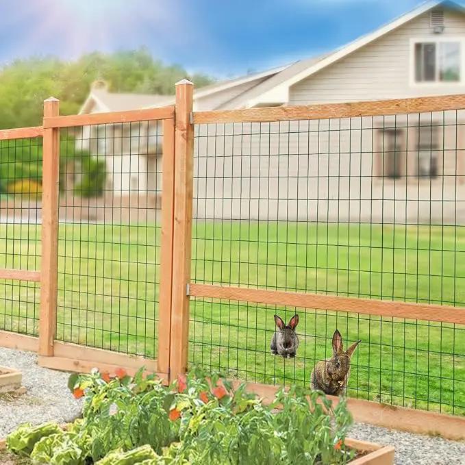 Green PVC Coated Welded Wire Fence 48 Inch x 50 Foot, 2 Inch x 4 Inch 14GA, Garden Border Fencing Roll Vinyl Coating Metal Wire Mesh Hardware Cloth for Yard Vegetable Plant Protection by GreenHaven Gardens