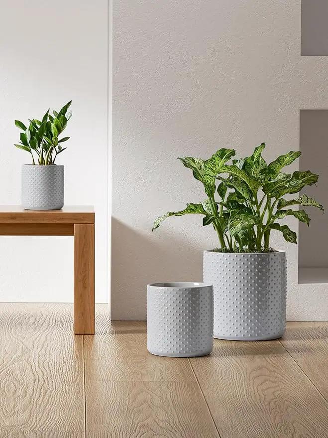 LE TAUCI Ceramic Plant Pots Indoor, 10+8+6 Inch Planters for Indoor Plants, Raised Dots Flower Pots with Drainage Hole and Plug, Cylinder Round Planters, Set of 3, Glaze Star Gray by GreenHaven Gardens
