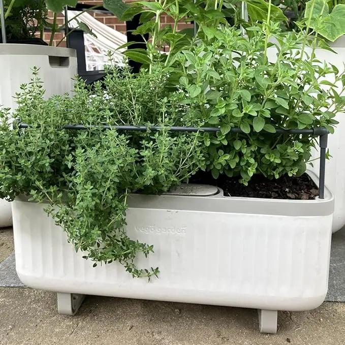 Vego Garden 2 Pack Herb Indoor Planter Box, Self Watering Pots with Trellis for Kitchen Window Sill or Countertop Plants Cage - Cream White by GreenHaven Gardens
