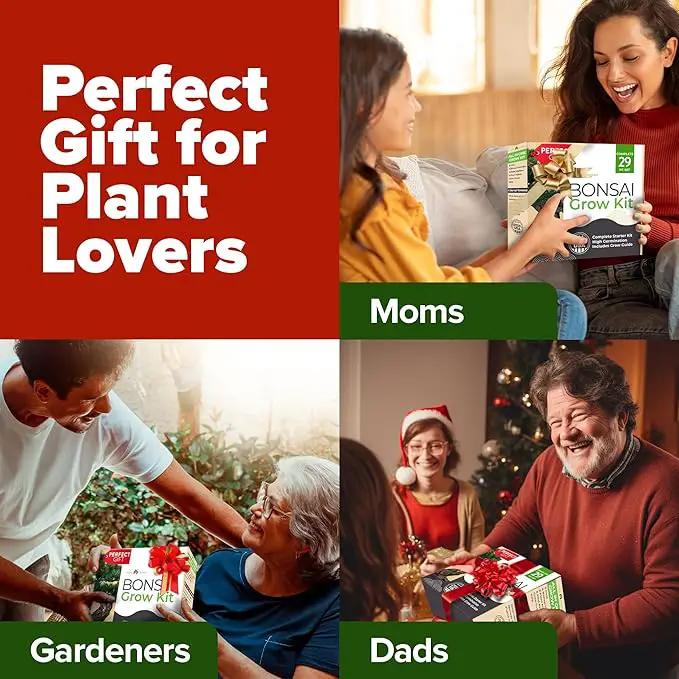 Bonsai Tree Kit - Gifts for Men & Women (Master Kit) by GreenHaven Gardens