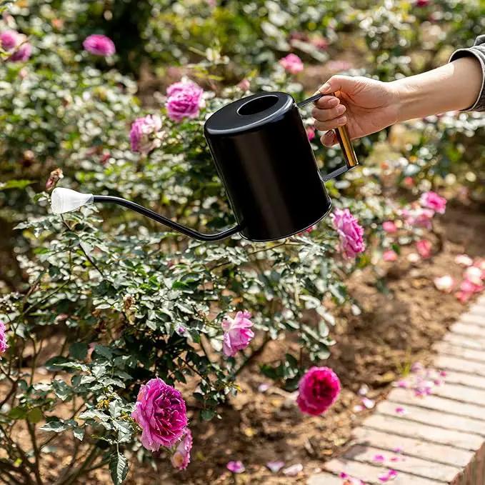 L&H Unico Stainless Steel 62oz Watering Can Long Spout Plant Misters for Indoor Plant Watering or Outdoor Gardening with 2Pcs Removable Spray Spout for Flowers Black by GreenHaven Gardens