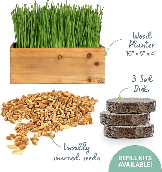 The Cat Ladies Cat Grass Kit (Organic) with Rustic Wood Planter, Seed and Soil. Easy to Grow for Indoor or Outdoor Cats, Dogs and Other Pets. Prevent Hairballs and Aid Digestion by GreenHaven Gardens