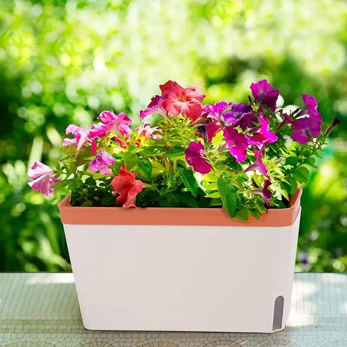 Amazing Creation Window Herb Planter Box, Vibrant Window Herb Garden, Self-Watering Rectangular Planter for Kitchen, Plants, and Succulents - Set of 3 by GreenHaven Gardens